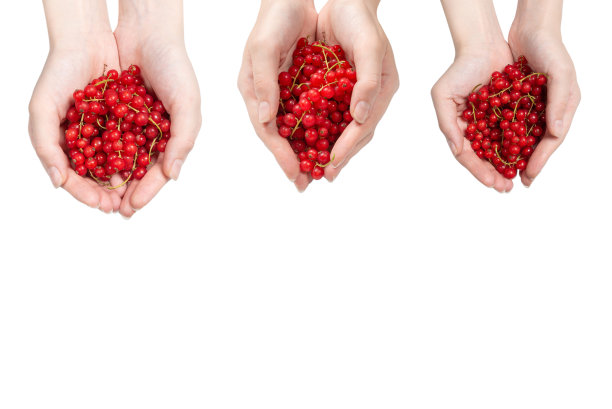 redcurrant