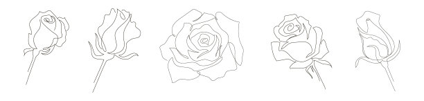 玫瑰花线条