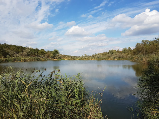 户外蓝天白云草地树林图片