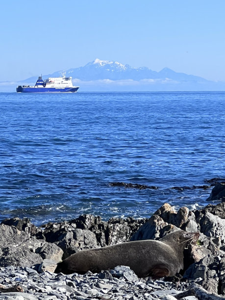ferry