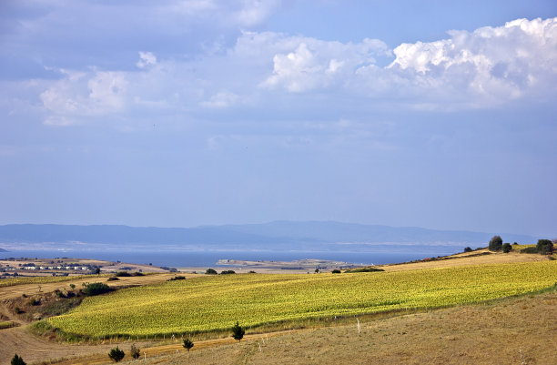 gallipoli