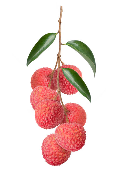 litchi