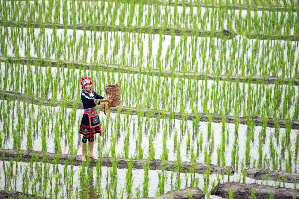 民族风服饰纹理