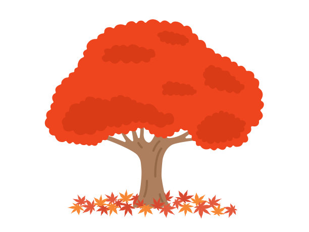 maple