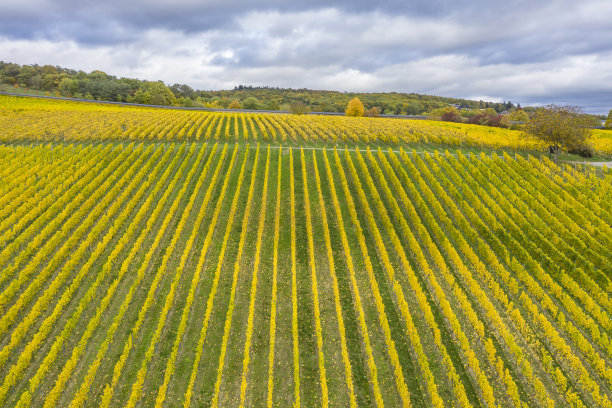 无人机研学实践