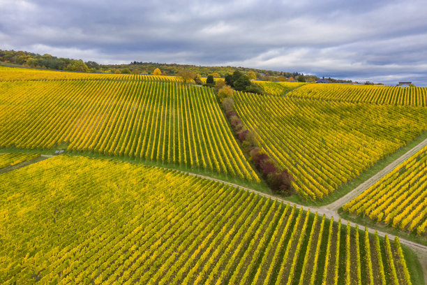 无人机研学实践
