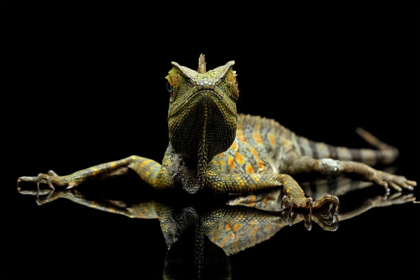 agama