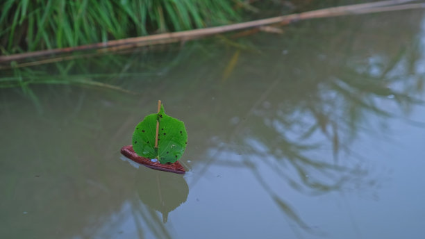 阴沉木木雕