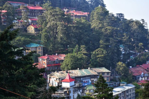 simla