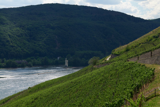 rudesheim