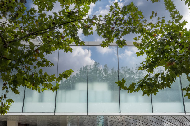 现代玻璃幕墙高楼与绿树