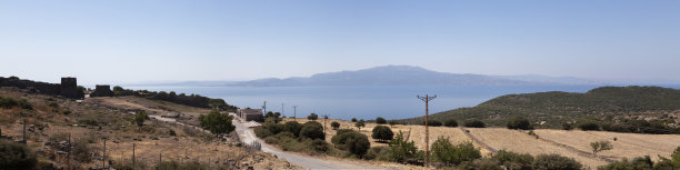 assos