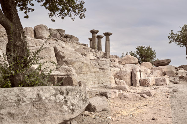 assos