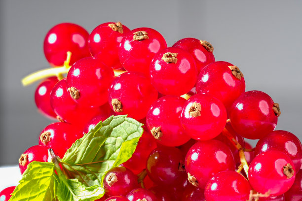 redcurrant