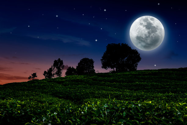 astronomical