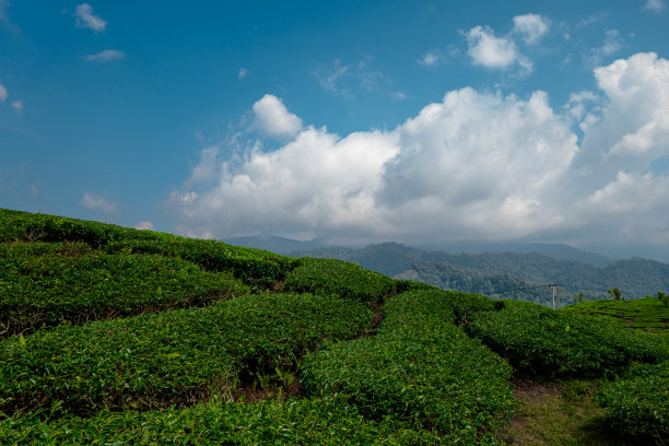 山,山谷,自然