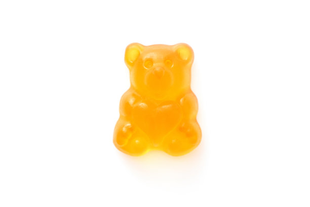 teddy