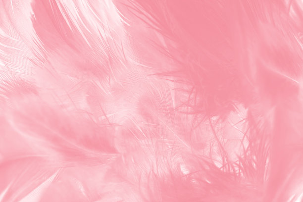 粉红色底纹设计背景