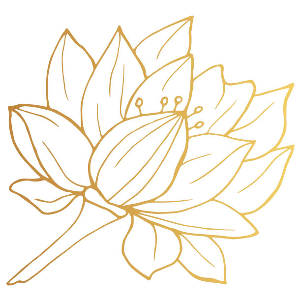 草图,乱画,花簇