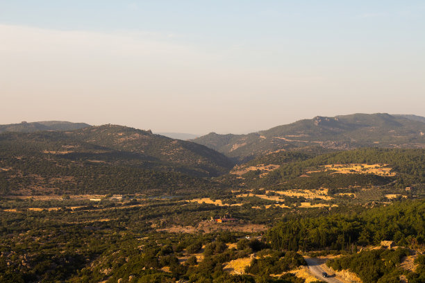 assos