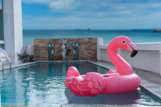 flamingo