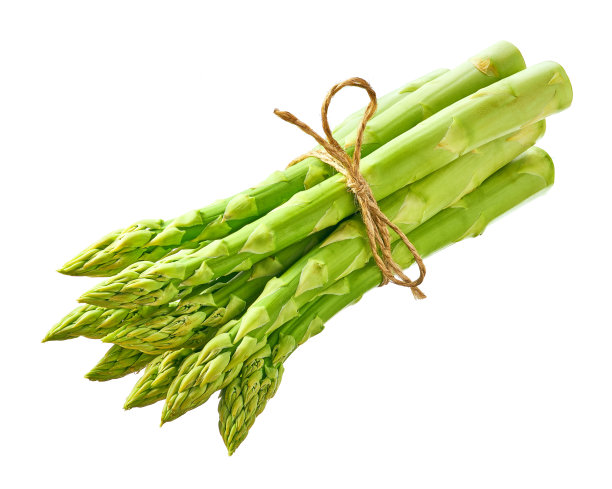 officinalis