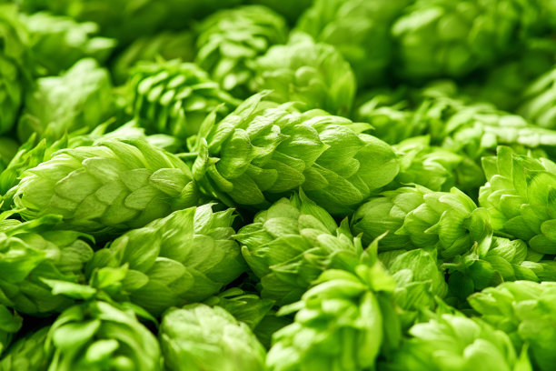 brewing