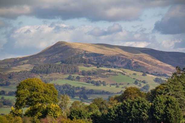 powys