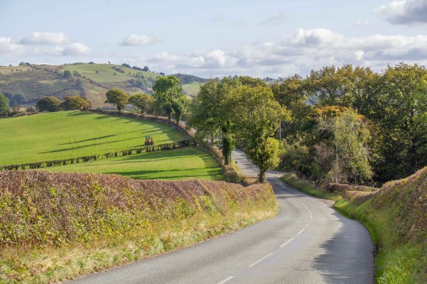 powys