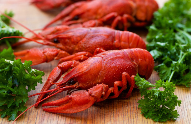crawdad