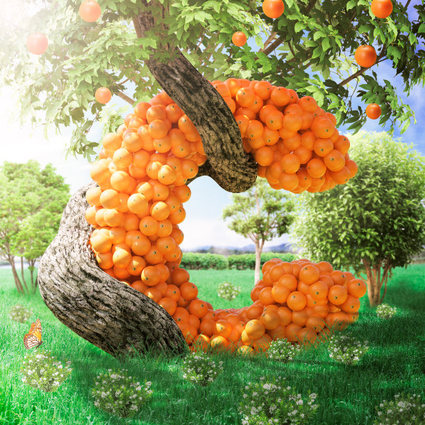 维生素香橙保健品海报