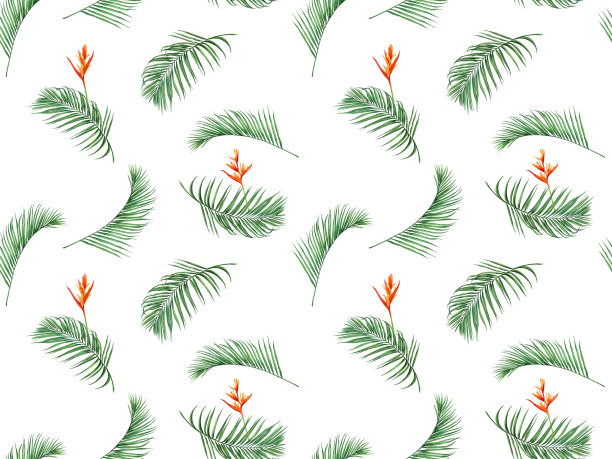 热带森林中的花朵，泰国