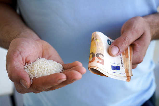 世界粮食日宣传