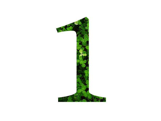 no1logo