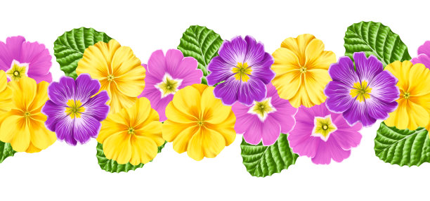 春天百花盛开万物复苏