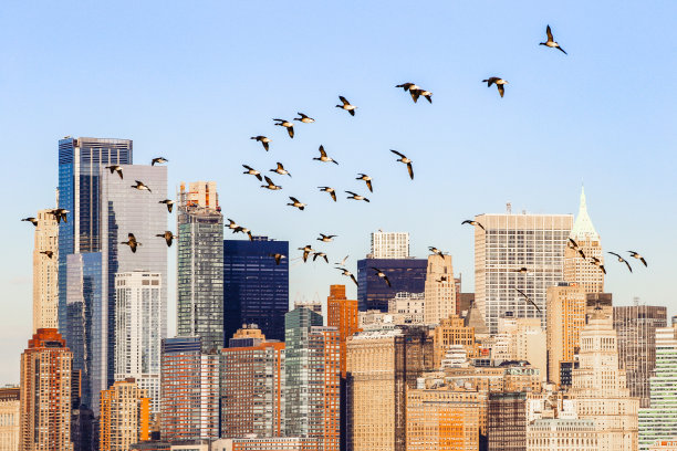 cityscape