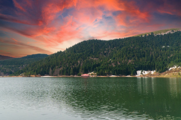 bolu