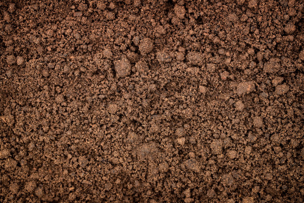 dirt