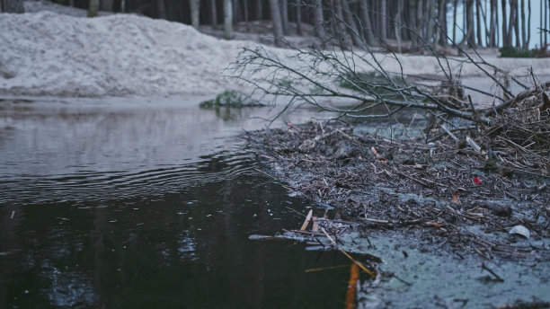backwater