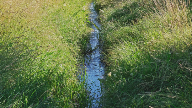 ditch