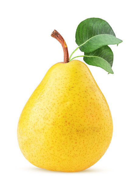pyrus