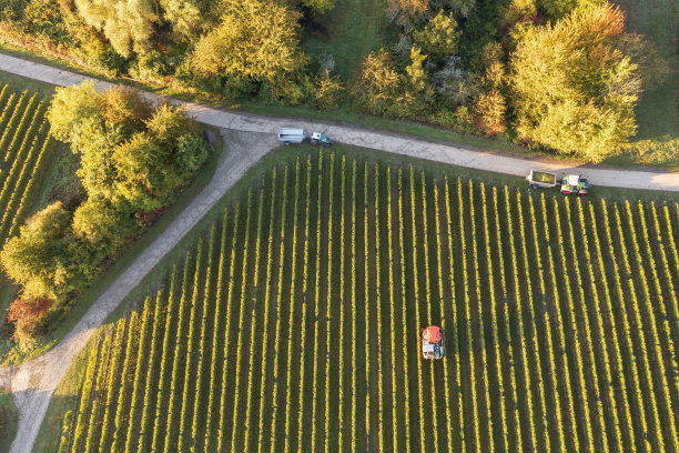 无人机研学实践