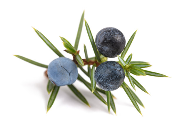 berries
