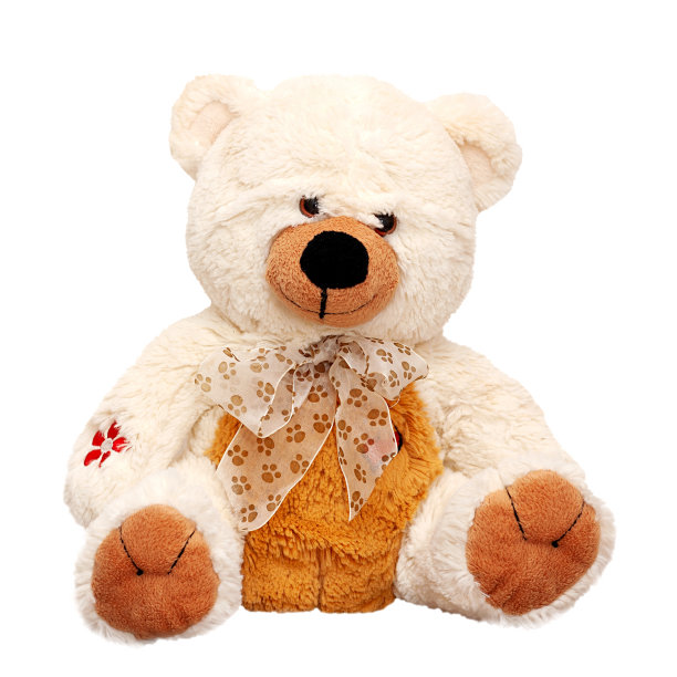 teddy
