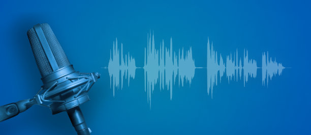 voice