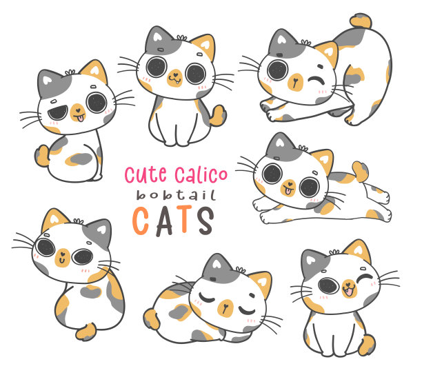 斑纹猫,纯种猫,日本短尾猫