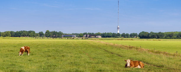 drenthe