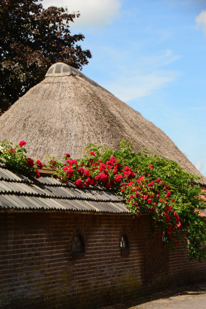 drenthe
