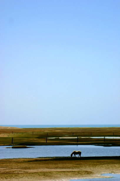 青海高原湖泊蓝天全景