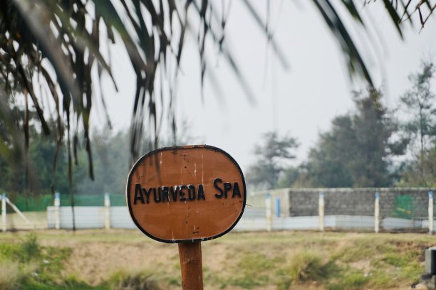 ayurveda